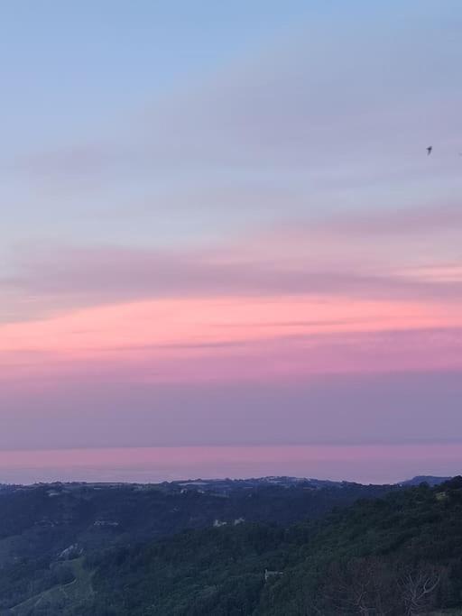 B&B La Finestra Sul Mare 里帕特兰索内 外观 照片