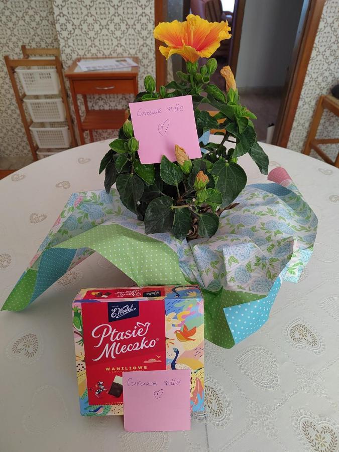 B&B La Finestra Sul Mare 里帕特兰索内 外观 照片